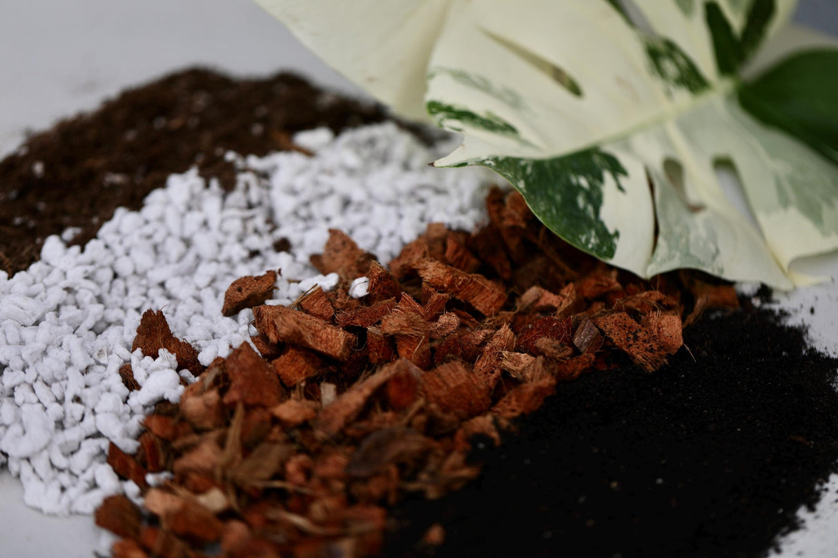Chunky Potting Soil Mix - Houseplant Soil Mix - Best Indoor Potting Soil - Well Draining Potting Soil for Rare Indoor Plants & Cactus
