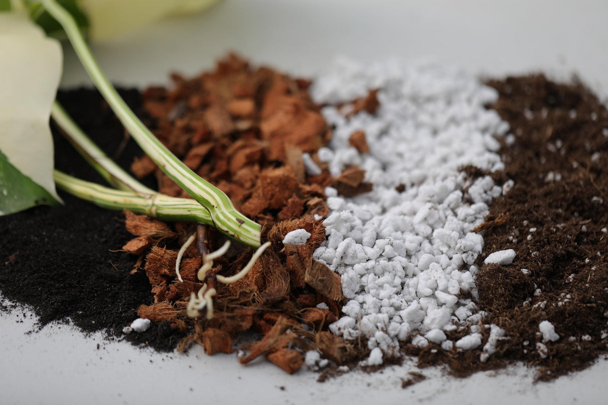 Chunky Aroid Mix Potting Soil - Monstera Soil Mix - Best Indoor Potting Soil. - Well Draining Potting Soil for Rare Indoor Plants & Cactus