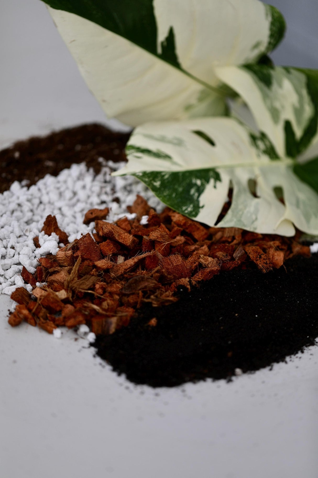 Chunky Aroid Mix Potting Soil - Monstera Soil Mix - Best Indoor Potting Soil. - Well Draining Potting Soil for Rare Indoor Plants & Cactus