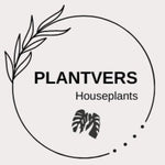 PlantVers Houseplants
