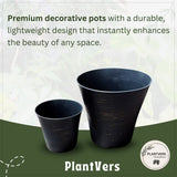 plant combo set