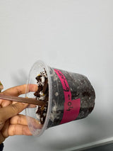 High Variegated Philodendron Strawberry Shake - Pink Rare Collector Plant - Gift Indoor Plant - Exact Same Plant - US Seller