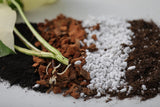 Chunky Potting Soil Mix - Houseplant Soil Mix - Best Indoor Potting Soil - Well Draining Potting Soil for Rare Indoor Plants & Cactus