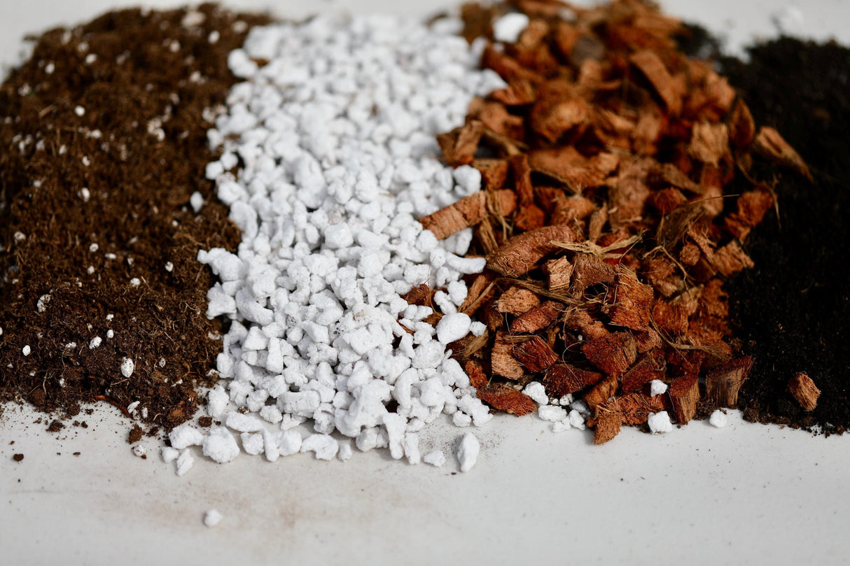 Chunky Potting Soil Mix - Houseplant Soil Mix - Best Indoor Potting Soil - Well Draining Potting Soil for Rare Indoor Plants & Cactus